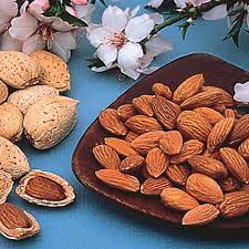 Gurney S Hall S Hardy Almond Prunus Live Bareroot Nut Tree 1 Pack 08697 The Home Depot Almond Tree Prunus Almond
