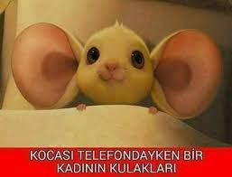 Aile Video Bayanlar Bayan Kadin Gelin Nisan Dugun Eglence Dekorasyon Ev Giyim Moda Gelinlik Sunum Dekor Beb Komik Komik Resimler Mizah