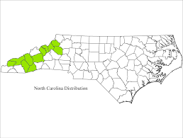 Exotic nutrition is not in a position to provide specific health and care guidelines on an individual basis. Carolina Northern Flying Squirrel U S Fish Wildlife Service