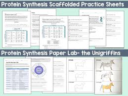 133 mutations answer key keywords: Dna Unit Bundle Supports Digital