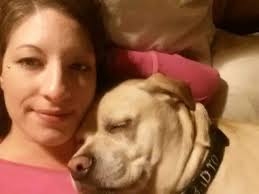 🐾 ❤️ Looking for a furry 🐶 loyal 🦴face-licking friend? 🐾 ❤️ Starfish  has many AMAZING dogs eagerly waiting for their forever homes! Each dog has  a profile