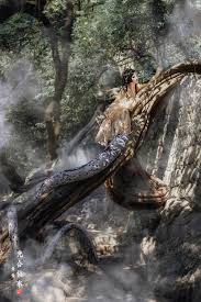 莫呼洛迦 鱼鱼mood 图虫网 优质摄影师交流社区