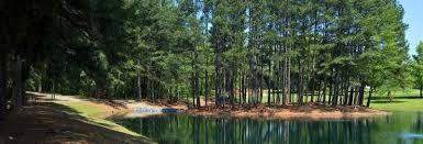 Hornets Nest Park Charlotte Disc Golf Club