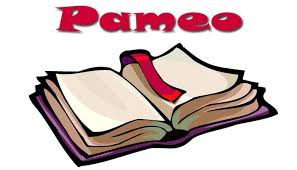 Contoh pengumuman dalam bahasa lampung. 26 Contoh Pameo Dan Artinya Dalam Bahasa Indonesia Beserta Pengertian Pameo Lengkap Pelajaran Sekolah Online