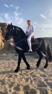 Schon vor einigen jahren wurde er dafür von tierrechtlern beim „supertalent gerügt. Dieter Bohlen Dieterbohlen Offiziell Bei Tiktok Schau Dir Die Neuesten Tiktok Videos Von Dieter Bohlen An