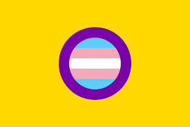 Their bodys often don´t fit what is seen as typical male* or female* definitions. File Trans Intersex Pride Flag Svg Wikimedia Commons