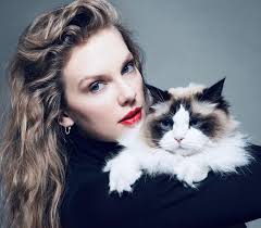 Tag Archive: Gender gap