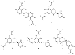 Image result for Neorautanenia ficifolia