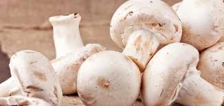 ولا شك أن الأرز قوت في بلاد الحرمين وطعام والواجب إخراج زكاة الفطر عن الصغير والكبير والذكر والأنثى والحر والمملوك من المسلمين. Ù…Ø§ ÙÙˆØ§Ø¦Ø¯ Ø§Ù„ÙØ·Ø± Ø§Ù„Ø£Ø¨ÙŠØ¶ Ù…ÙˆØ¶ÙˆØ¹