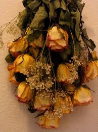 Before gifting to not dry the flowers out. Dried Roses The Easy Way 4 Steps With Pictures Instructables