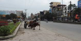 Ninh Binh v Ha Noi T&T, 09/03/2013