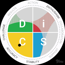 Whether you know it or not, every disc assessment results can be phenomenally illuminating. How Disc Profiles Work Disc Profile