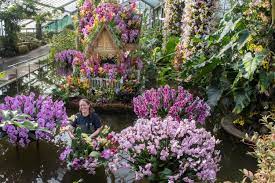 Buy concert, theatre, music, sport, event, west end show and london theatre tickets at the official see tickets online shop Everything You Need To Know About Orchids Festival 2019 At Kew Gardens