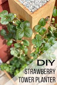 Diy Strawberry Planter With Plans In 2021 Diy Strawberry Planter Strawberry Planters Diy Strawberry Planters