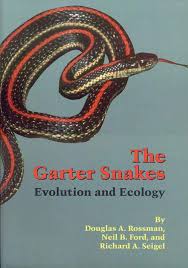 In western oklahoma, certain species of garter snakes are found only near some permanent water source. The Garter Snakes Evolution And Ecology Volume 2 Animal Natural History Series Rossman Douglas A Ford Neil B Seigel Richard A 9780806128207 Amazon Com Books