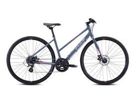 Fuji Bikes Absolute 1 9 St