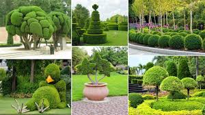 120 Amazing Topiary Garden Ideas Diy Garden Diy Garden Topiary Garden Garden Ideas Diy Cheap