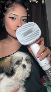 How to Feed Shih Tzu Puppies 4 Weeks