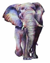 Edith Castruita (edithcastruita)