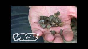 Not a single drug has bankrupted people, divored loving couples, killed more innocent lives, brought on many of the most dangerous drugs in the world are also illegal, but some prescription medications can be extremely harmful when misused. World S Scariest Drug Documentary Exclusive Youtube