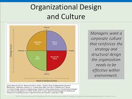 Nordstrom Corporate Organizational Chart Jse Top 40 Share