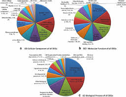 gene ontology annotation of degs pie chart showing the