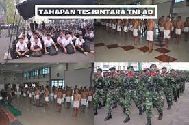177 downloads 1284 views 81kb size. Tahapan Tes Bintara Tni Ad 100 Lolos Your All In One Event Partner Solution