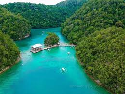 Image result for Selago barabei