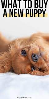 What To Buy For A New Puppy Here S The Lowdown New Puppy Puppies Puppy Care