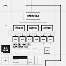 organization chart template in draft stock vector