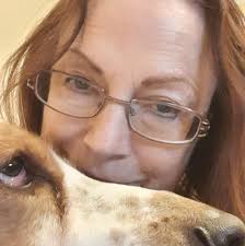 Skydog Sanctuary added a new photo.