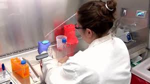 Fight off a cold, and prepare for this winter season! Porcupine Health Unit Reports 40 New Covid 19 Cases Wednesday