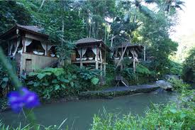 Pin Di Bali Travel