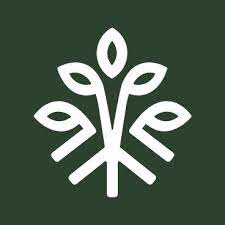 HempyRoots CBD Shop Logo