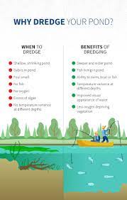 Because having more nutrients than necessary will invite algae to bloom in your pond. Infographic Should I Dredge My Pond When And How To Dredge A Pond
