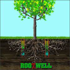On our side, in addition to. How To Help Your Trees Grow In Sandy Soil