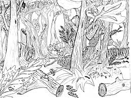 If she came out with another edition i would purchase it. Natural Scenery Nature Coloring Pages For Kids Drawing With Crayons