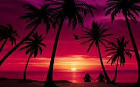 50 Beach Wallpapers For Free Wallpapers Com View Wallpaper Sunset Wallpaper Beach Scenes