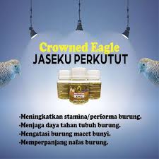 Lebih baik membuat jamu sendiri karena anda tahu bahan yang. Super Promo Jamu Burung Perkutut Agar Rajin Bunyi Crowned Eagle Jaseku Terbaru Agustus 2021 Harga Murah Kualitas Terjamin Blibli