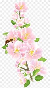 Graphic Design Drawing Sakura Flower Arranging Branch Flower Png Pngwing 1600 x 683 jpeg 101 кб. graphic design drawing sakura flower