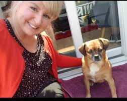 Hi, I have a client in the Trelogan area looking for a pet sitter end of  may/beginning of June for a week. If anyone's available can you pop your  details below so