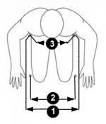 Wheelchair Measuring Guide Quickie Wheelchairs Com