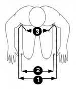 Wheelchair Measuring Guide Quickie Wheelchairs Com