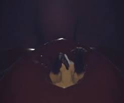 Cock vore animation - video 4 - ThisVid.com