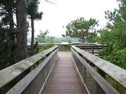 With volleyball courts, playground and 303 stairs to hike this was the perfect place for a family gathering. Roche A Cri State Park Petroglyphs And A View Explore Central Wisconsin