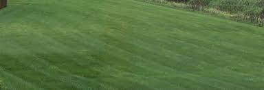 Indianapolis trugreen lawn maintenance services. Lawn Care In Avon Brownsburg Zionsville Areas A Classic Cut Lawn Landscape