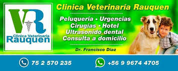 Clínica Veterinaria en Curico Rauquén