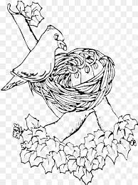 Richard taylor / flickr / used with permission spring is the perfect time to attract birds with nesting material, encouraging them. Bird Nest Sparrow Owl Coloring Book Nest White Animals Hand Png Pngwing