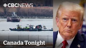 Former Santa Fe dog groomer pleads not guilty to animal cruelty charges