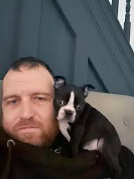 Boston Terrier owners sharing memories and experiences with their pets